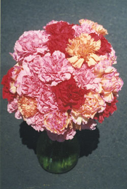 Carnation vase